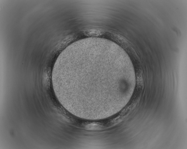 X0000112430460200909251540