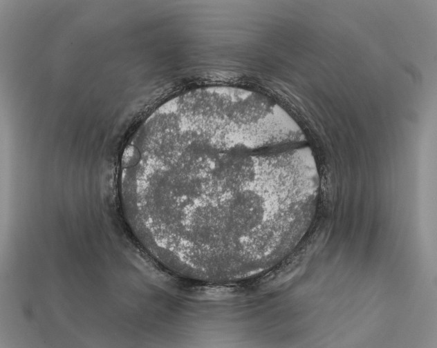 X0000112430462200909251540