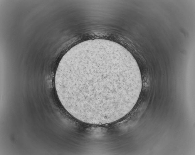 X0000112430464200909251540