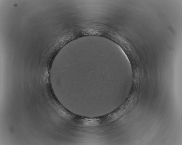 X0000112430465200909251540