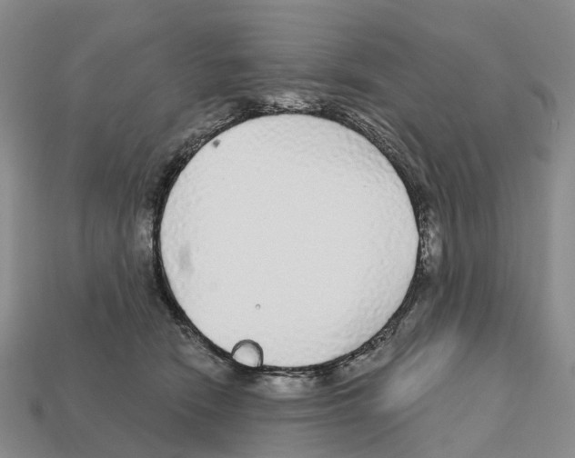 X0000112430466200909251540