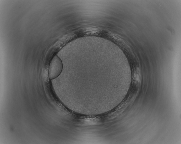 X0000112430468200909251540