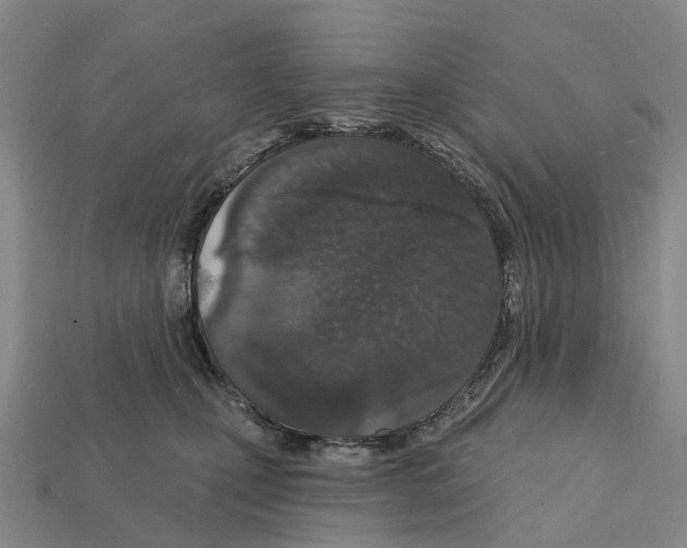 X0000112430471200909251540