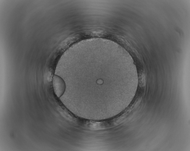 X0000112430472200909251540