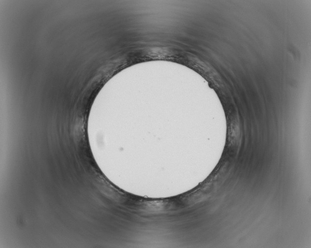 X0000112430473200909251540