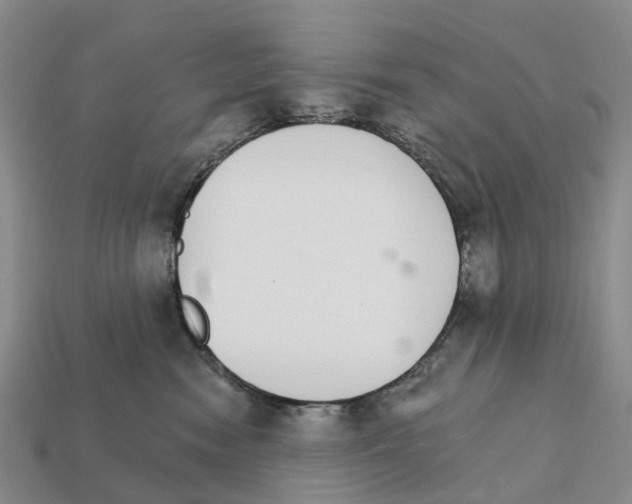X0000112430474200909251540