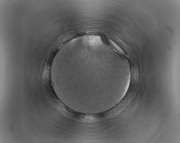 X0000112430475200909251540