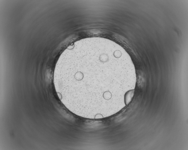 X0000112430476200909251540