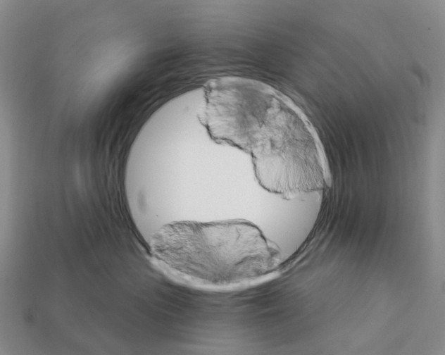 X0000112430477200909251540