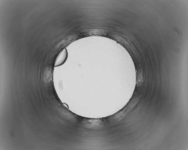 X0000112430478200909251540