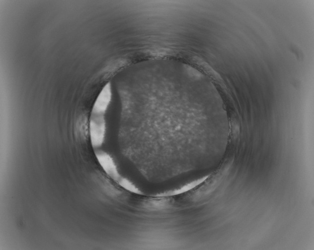 X0000112430479200909251540
