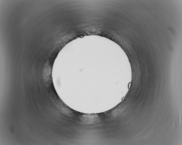 X0000112430480200909251541