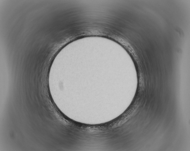 X0000112430481200909251540