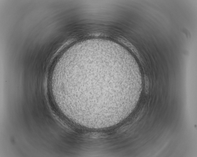 X0000112430482200909251540