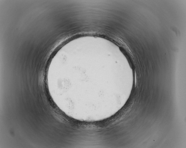 X0000112430483200909251540
