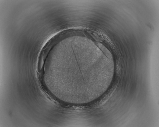 X0000112430484200909251540