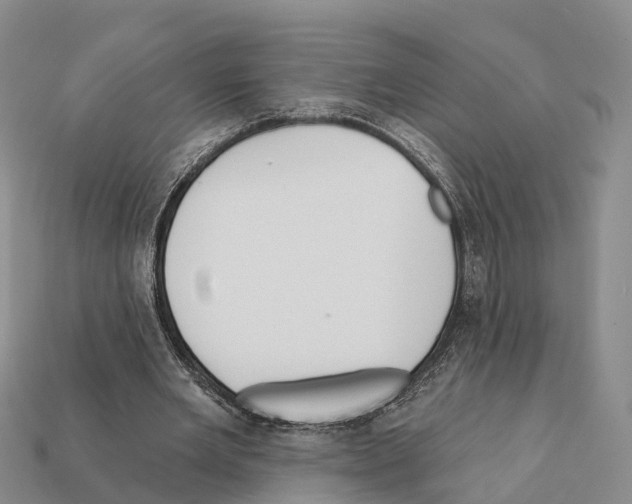 X0000112430485200909251540