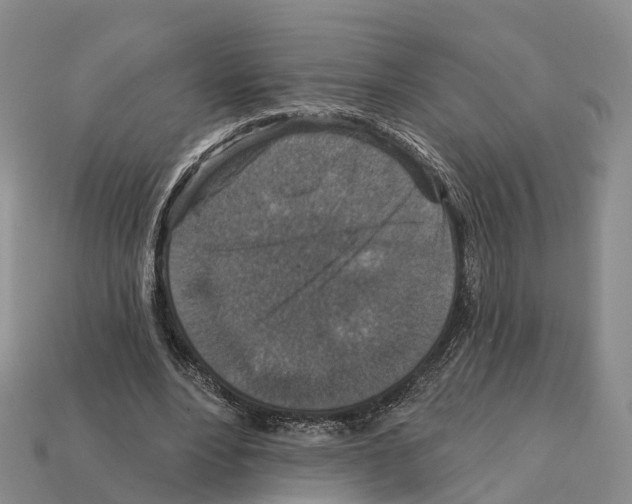 X0000112430488200909251540