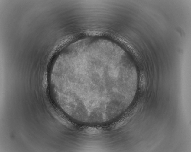 X0000112430494200909251540