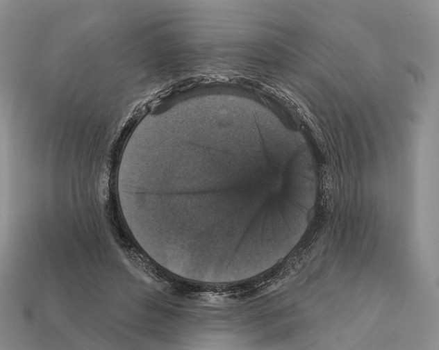 X0000112430496200909251540