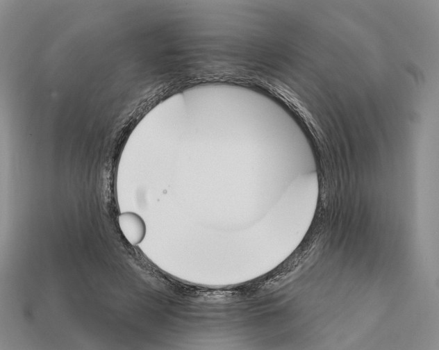 X0000112430497200909251540