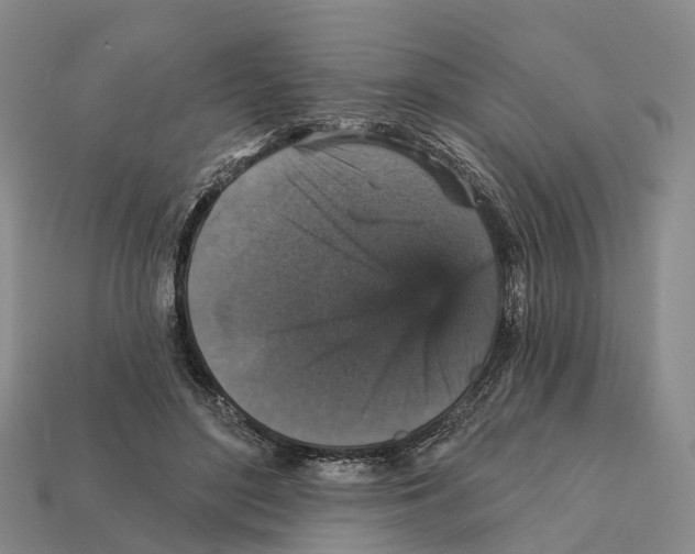X0000112430500200909251540