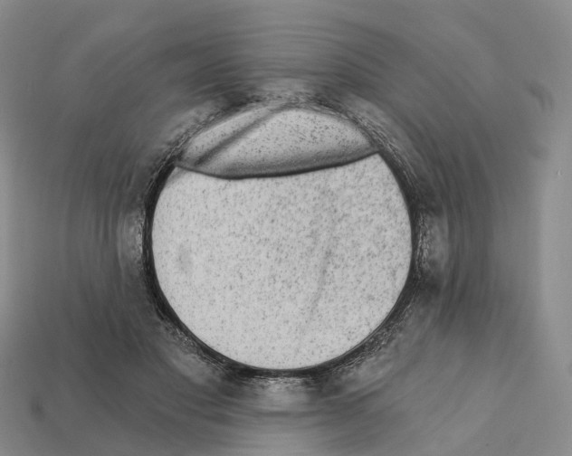 X0000112430501200909251540