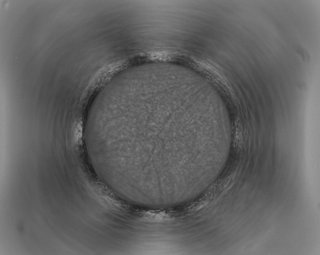 X0000112430502200909251540