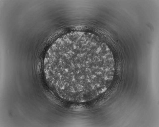 X0000112430503200909251540