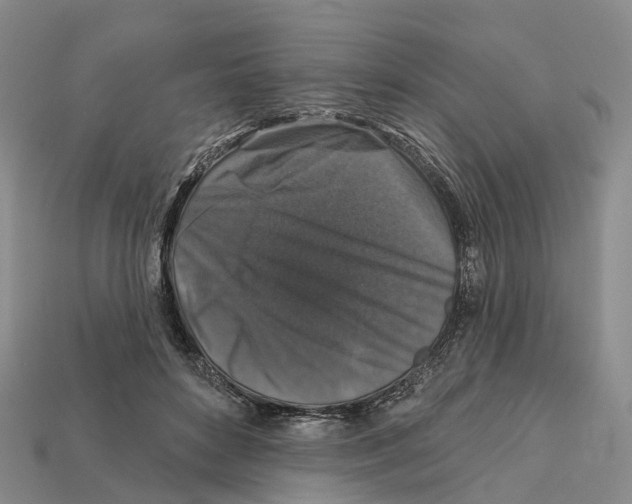 X0000112430504200909251540
