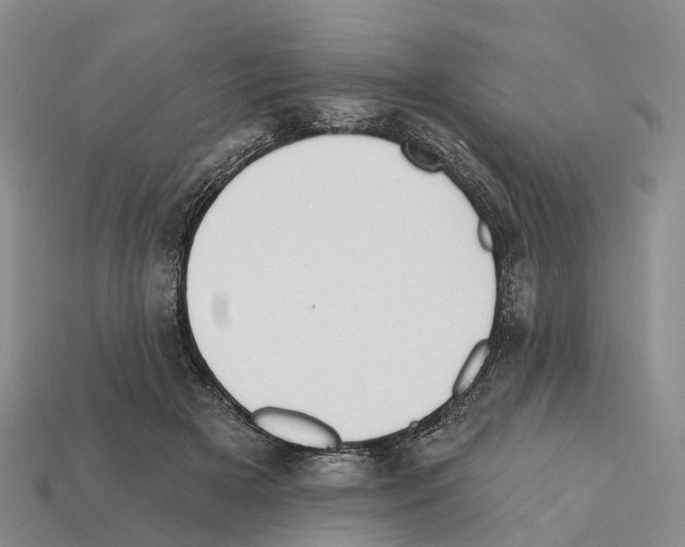 X0000112430505200909251540