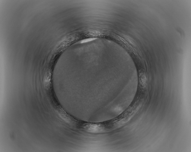 X0000112430507200909251540