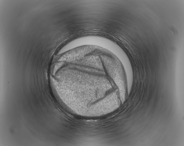 X0000112430508200909251540
