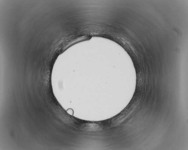 X0000112430509200909251540