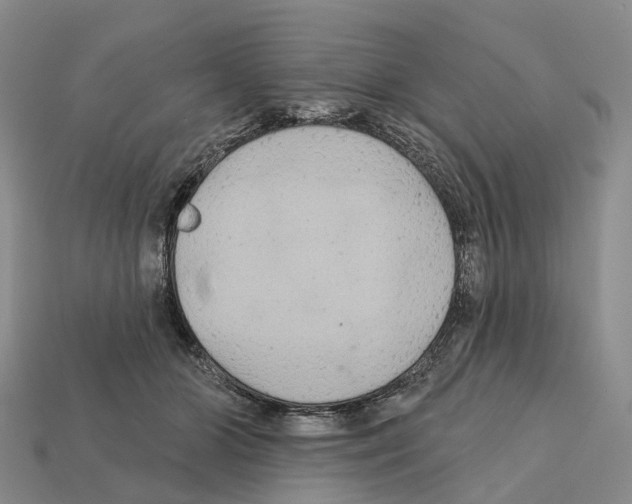 X0000112430510200909251540