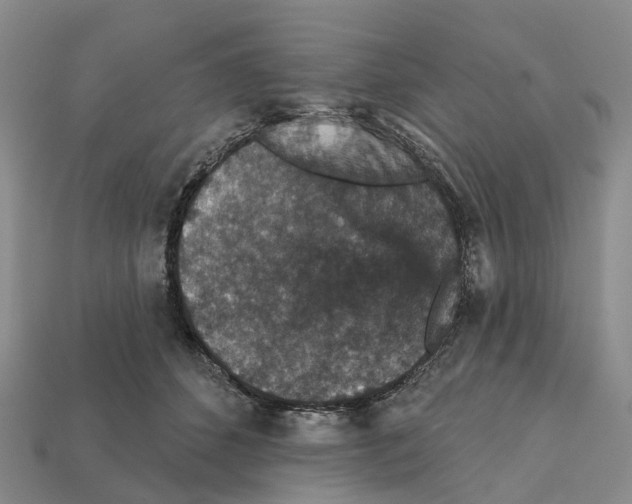 X0000112430512200909251539