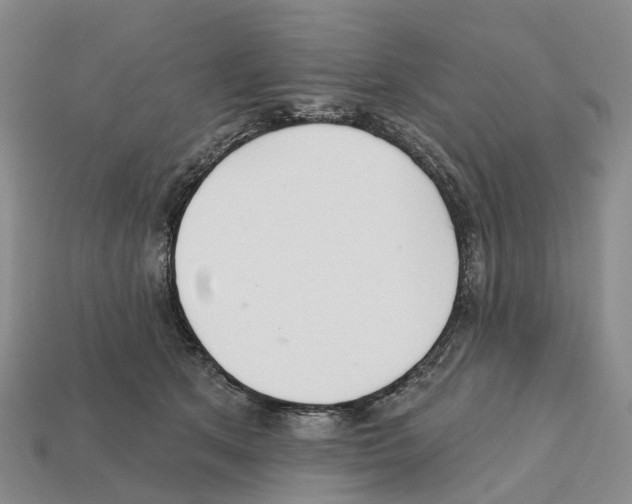 X0000112430513200909251539
