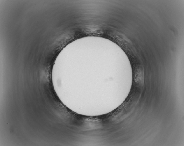 X0000112430515200909251539