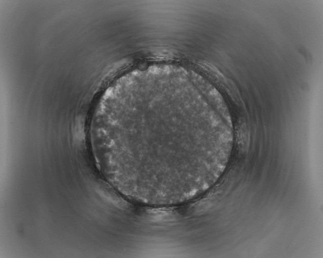 X0000112430516200909251539
