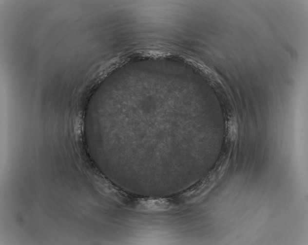 X0000112430517200909251539