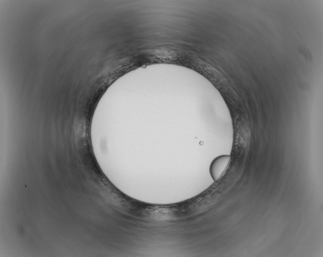 X0000112430518200909251539