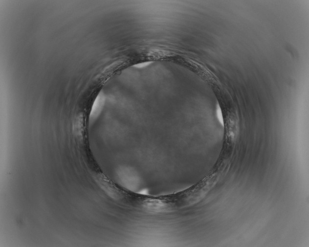 X0000112430519200909251539