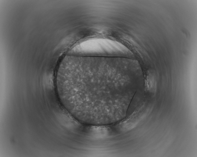 X0000112430520200909251539