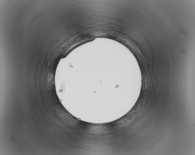 X0000112430521200909251539
