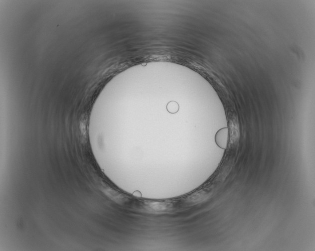 X0000112430522200909251539