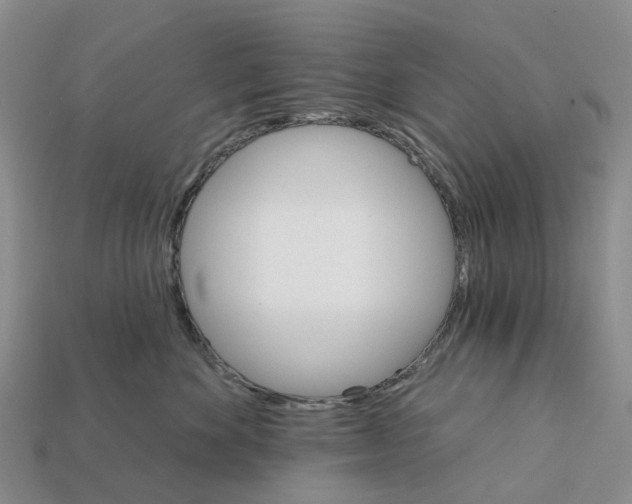 X0000112430524200909251539