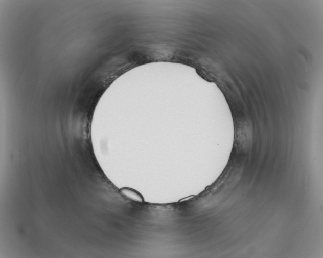 X0000112430525200909251539