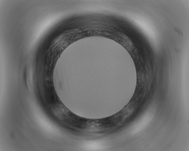 X0000112430526200909251539