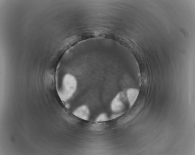 X0000112430527200909251539
