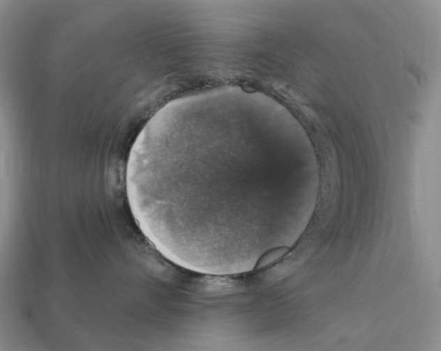 X0000112430528200909251539